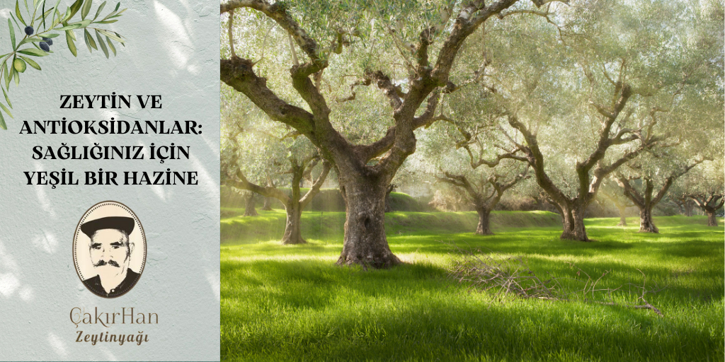 Zeytin ve Antioksidanlar: Sağlığınız İçin Yeşil Bir Hazine
