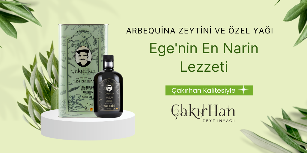 Arbequina Zeytini ve Özel Yağı: Ege'nin En Narin Lezzeti