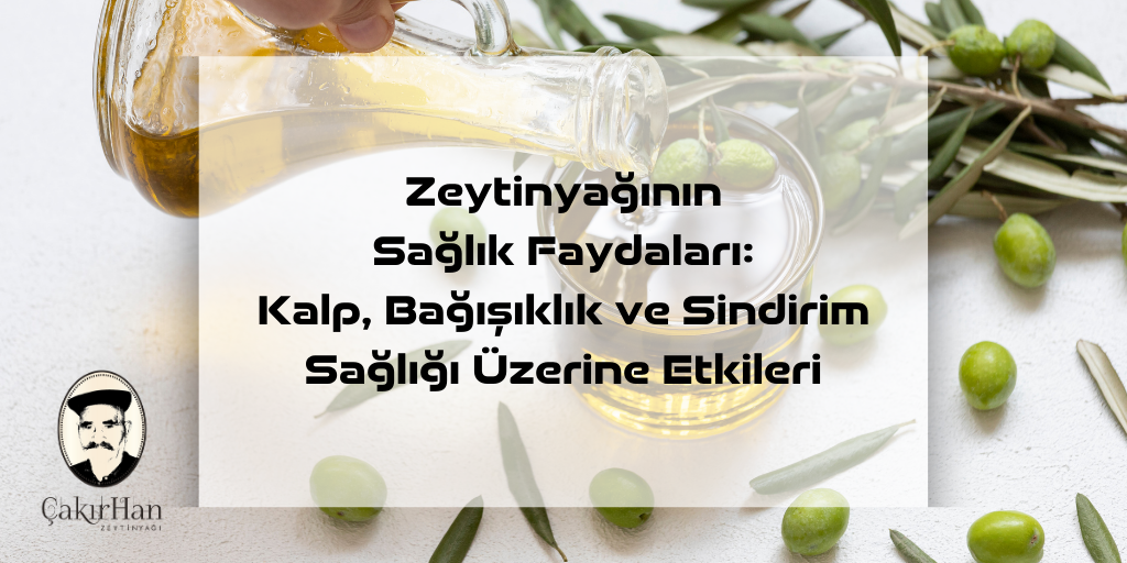 Zeytinyağının Sağlık Faydaları: Kalp, Bağışıklık ve Sindirim Sağlığı Üzerine Etkileri