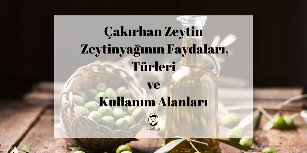 Çakırhan Zeytin: Zeytinyağının Faydaları, Türleri ve Kullanım Alanları
