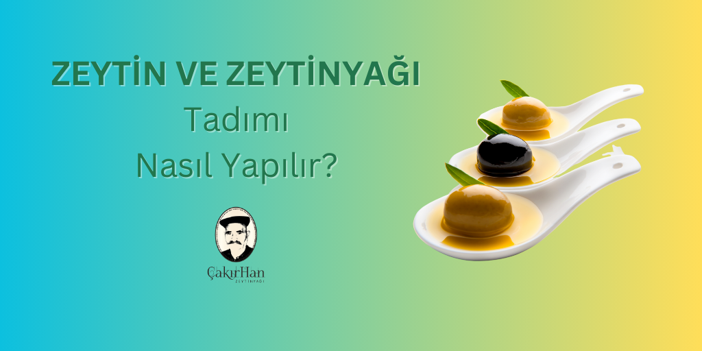 Zeytin ve Zeytinyağı Tadımı: Damarlarınızdaki Zeytinyağıyı Keşfedin