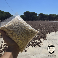 Çakırhan Çam Fıstığı 1000gr