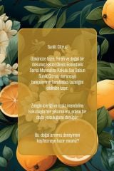 Olivos Sıvı Sabun Bodrum Mandalinası (Sanat Koleksiyonu)