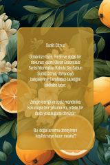 Olivos Sıvı Sabun Bodrum Mandalinası (Sanat Koleksiyonu)