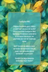 Olivos Sıvı Sabun Okaliptus (Sanat Koleksiyonu)