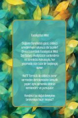 Olivos Sıvı Sabun Okaliptus (Sanat Koleksiyonu)