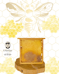 Çakırhan Kazdağı Petek Balı 1000 gr