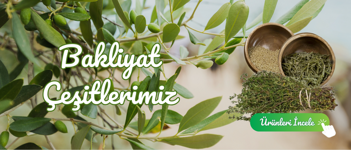 Bakliyat Çeşitlerimiz