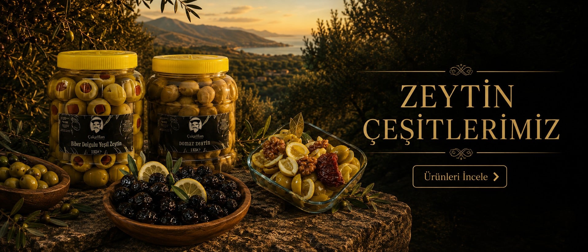 Zeytin Çeşitlerimiz